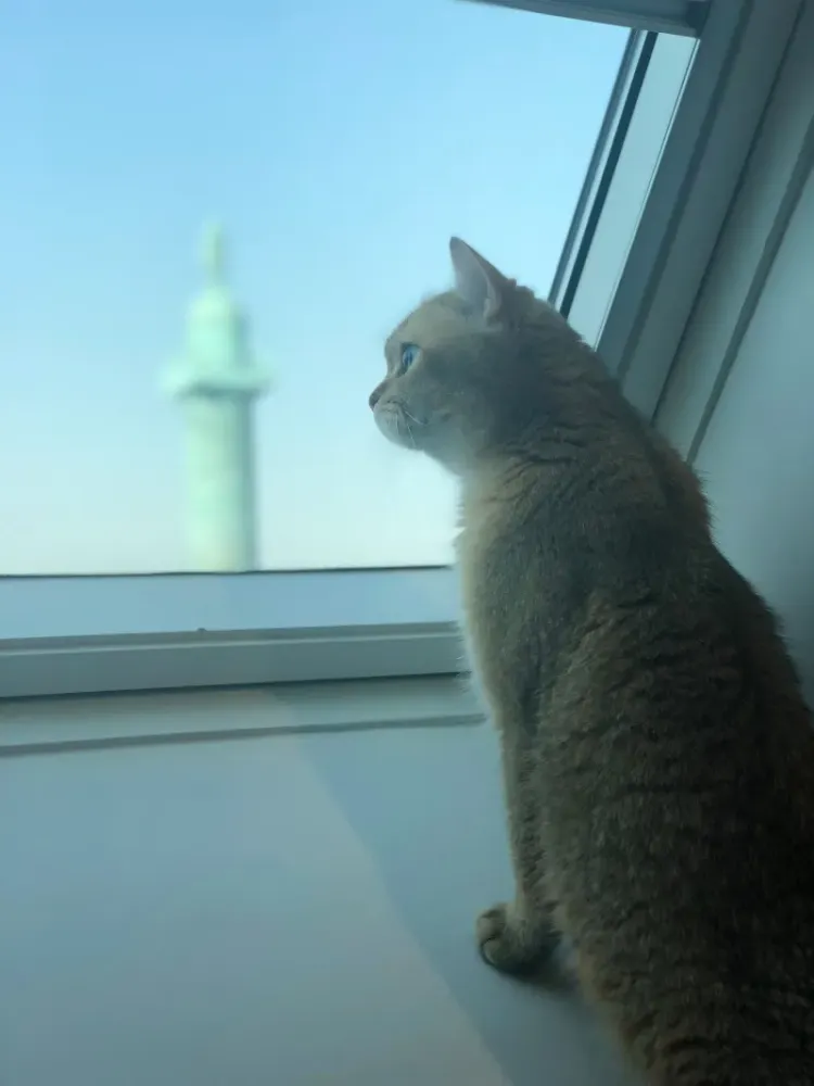 Boucheron: Инновации и стиль в высоком ювелирном искусстве