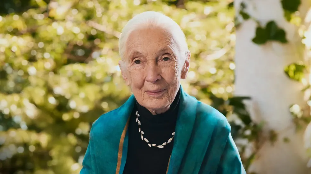 Brilliant Earth и Джейн Гудолл: новая коллекция украшений